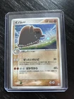 Piloswine