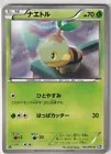 Turtwig