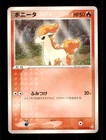 Ponyta