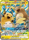 Raichu GX