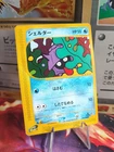 Shellder
