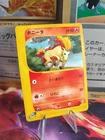 Ponyta