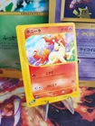 Ponyta