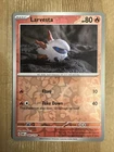 Buizel