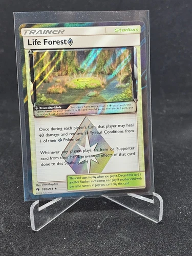 Life Forest