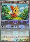 Lillipup