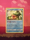 Ludicolo