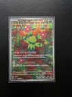 Maractus