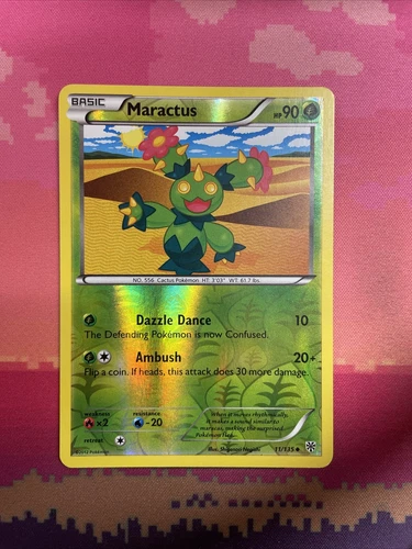 Maractus