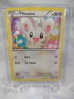 Minccino
