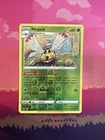 Ninjask