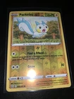 Pachirisu