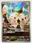 Pachirisu