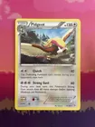 Pidgeot