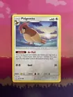 Pidgeotto