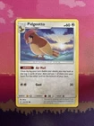 Pidgeotto