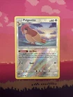 Pidgeotto