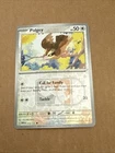 Pidgey