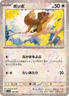 Pidgey
