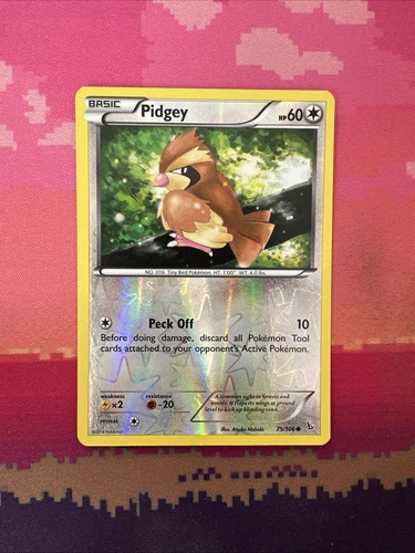 Pidgey