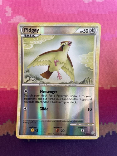 Pidgey