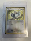 Pidove