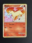 Ponyta