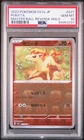 Ponyta