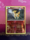 Ponyta