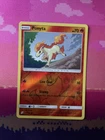 Ponyta