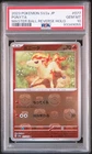 Ponyta