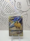 Raichu GX
