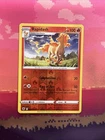 Rapidash