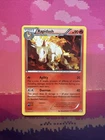 Rapidash
