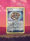 Rare Fossil