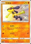 Riolu