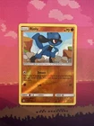 Riolu