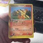 Combusken