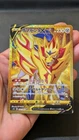 Zamazenta V