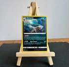 Sharpedo