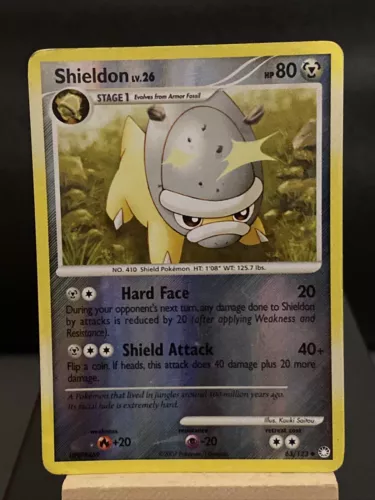Shieldon
