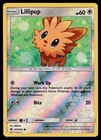 Lillipup