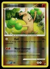 Sudowoodo