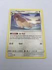 Pidgeotto