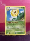 Sunflora