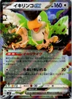Squawkabilly