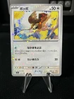Pidgey