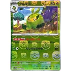 Swadloon