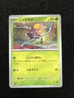 Tropical Wind