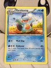 Marshtomp